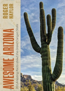 Bertrand.pt - Awesome Arizona
