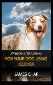 Awesome Training For Your Dog Using Clic
