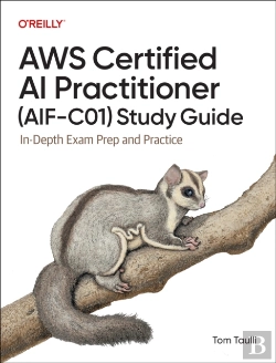 Bertrand.pt - Aws Certified Ai Practitioner (Aif-C01) Study Guide