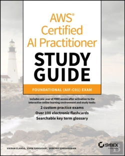 Bertrand.pt - Aws Certified Ai Practitioner Study Guide