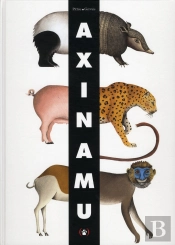 Axinamu