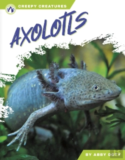 Bertrand.pt - Axolotls
