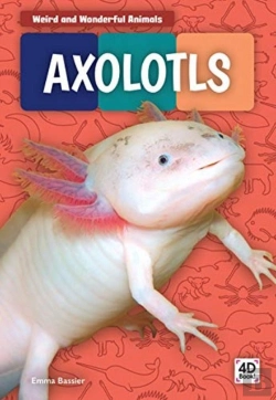 Bertrand.pt - Axolotls