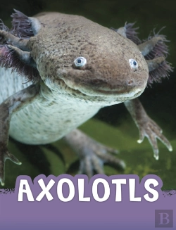 Bertrand.pt - Axolotls