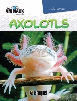 Bertrand.pt - Axolotls