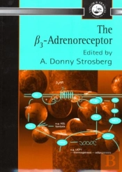 Ãÿ3 Adrenoreceptor