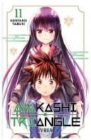 Ayakashi Triangle N 11