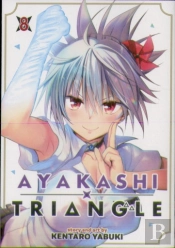 Ayakashi Triangle Vol. 8