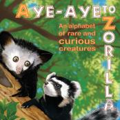 Aye-Aye To Zorilla