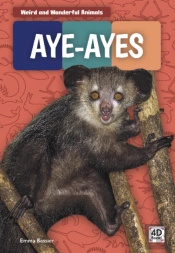 Aye-Ayes
