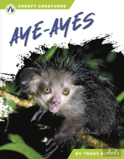 Aye-Ayes