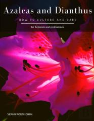 Azaleas And Dianthus