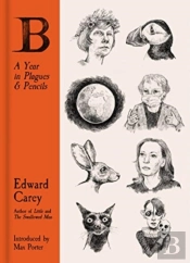 B: A Year In Plagues And Pencils