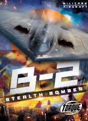B2 Stealth Bomber