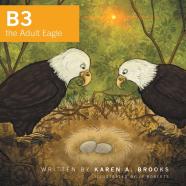 B3 The Adult Eagle