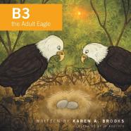 B3 The Adult Eagle