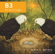B3 The Adult Eagle