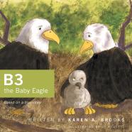B3 The Baby Eagle