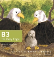B3 The Baby Eagle