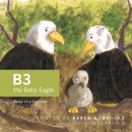 B3 The Baby Eagle
