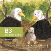 B3 The Baby Eagle