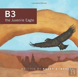 Bertrand.pt - B3 The Juvenile Eagle