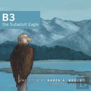 B3 The Subadult Eagle