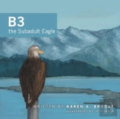 B3 The Subadult Eagle
