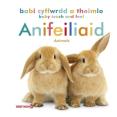 Babi Cyffwrdd A Theimlo: Anifeiliaid / Baby Touch And Feel: Animals