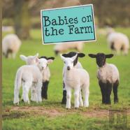 Babies On The Farm