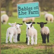 Babies On The Farm
