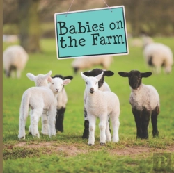 Bertrand.pt - Babies On The Farm
