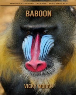 Bertrand.pt - Baboon
