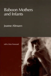 Baboon Mothers And Infants