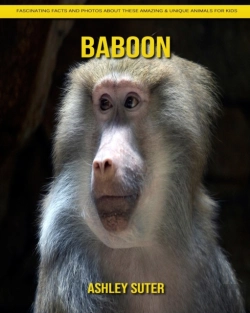 Bertrand.pt - Baboon
