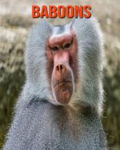 Baboons
