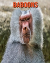 Baboons