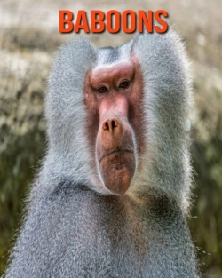 Bertrand.pt - Baboons