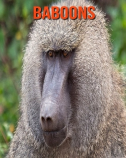 Bertrand.pt - Baboons