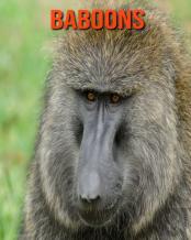 Baboons