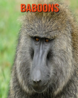 Bertrand.pt - Baboons