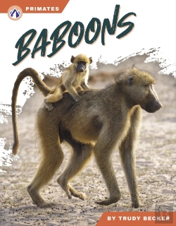 Bertrand.pt - Baboons