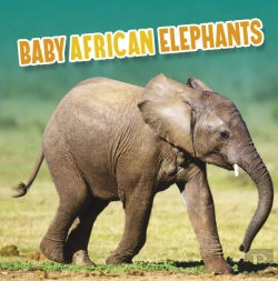Bertrand.pt - Baby African Elephants