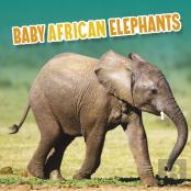 Baby African Elephants
