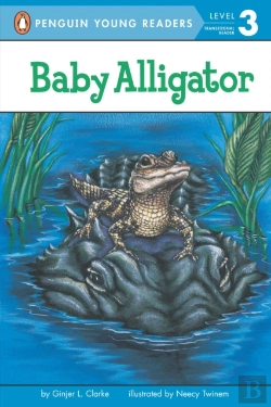 Bertrand.pt - Baby Alligator