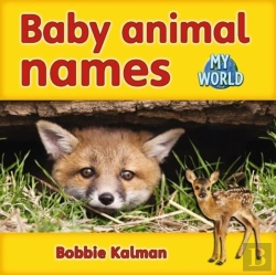 Bertrand.pt - Baby Animal Names