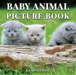 Bertrand.pt - Baby Animal Picture Book