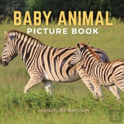 Bertrand.pt - Baby Animal Picture Book