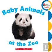 Baby Animals At The Zoo