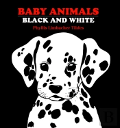 Baby Animals Black And White